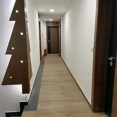 Apartment Borovi30 *