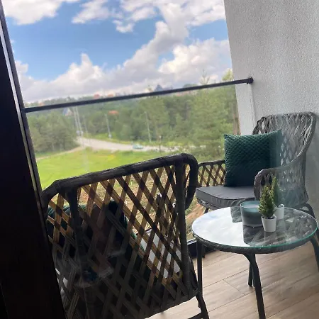 Borovi30 Divcibare