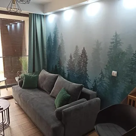 Apartment Borovi30 *