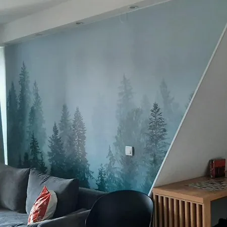 Borovi30 Apartament *