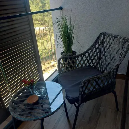 Borovi30 Apartman