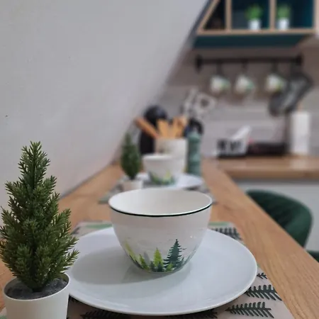 Borovi30 Apartment *